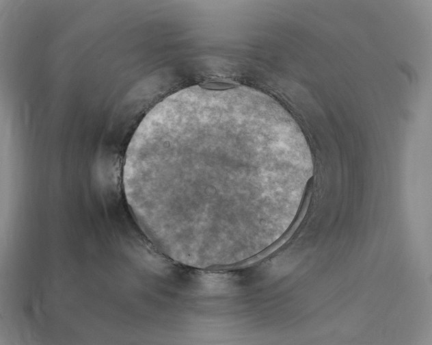X0000112410336200909251500