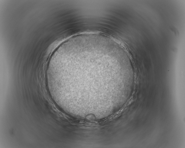 X0000112410337200909251500