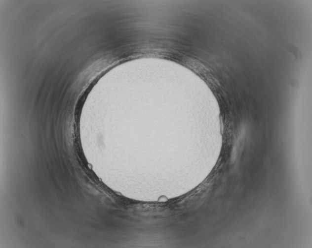 X0000112410338200909251500