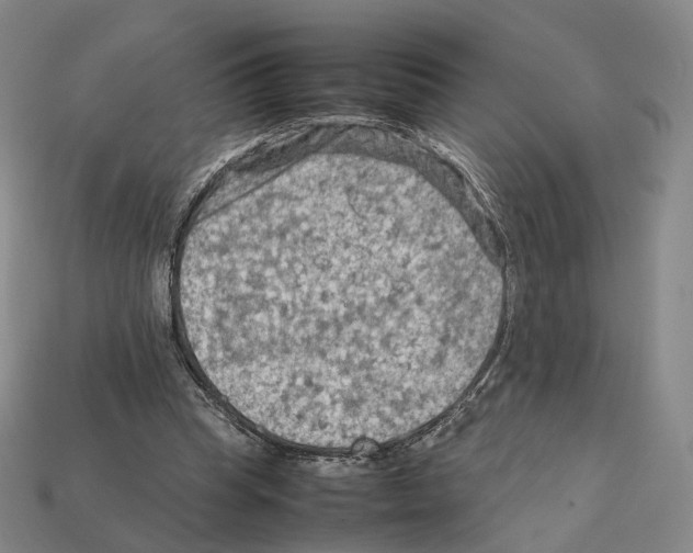 X0000112410345200909251500