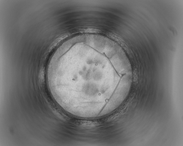 X0000112410347200909251500