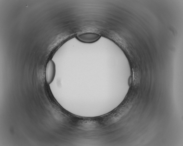 X0000112410348200909251500