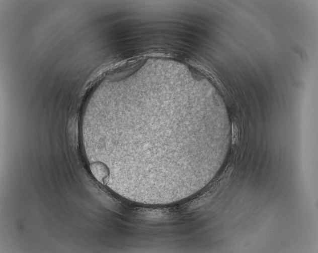 X0000112410349200909251500