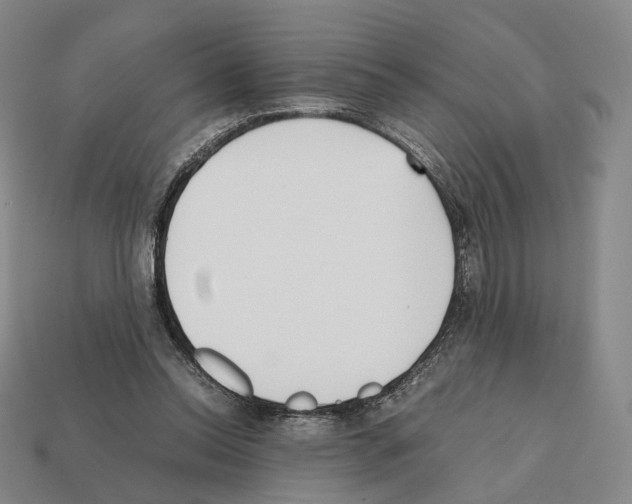 X0000112410350200909251500