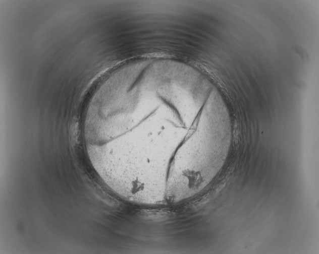 X0000112410351200909251500
