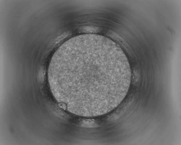 X0000112410355200909251500