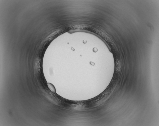 X0000112410356200909251500