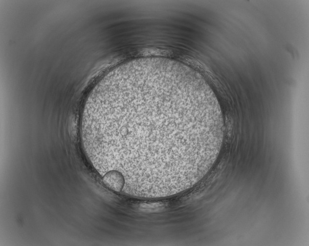 X0000112410357200909251500