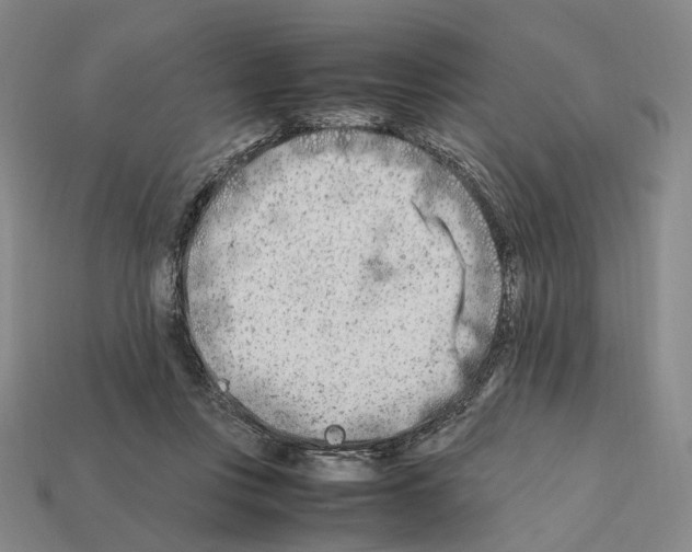 X0000112410359200909251500