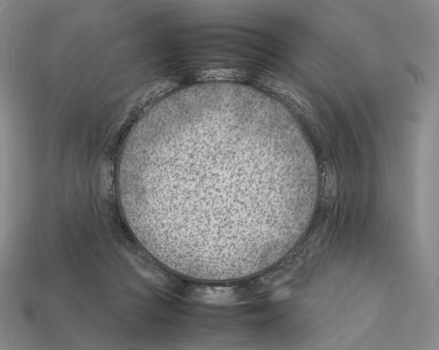 X0000112410361200909251500