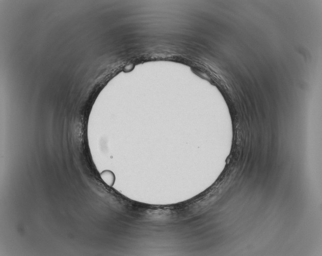 X0000112410362200909251500