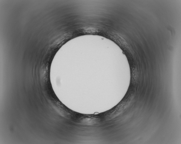 X0000112410364200909251500