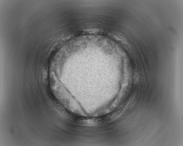 X0000112410365200909251500