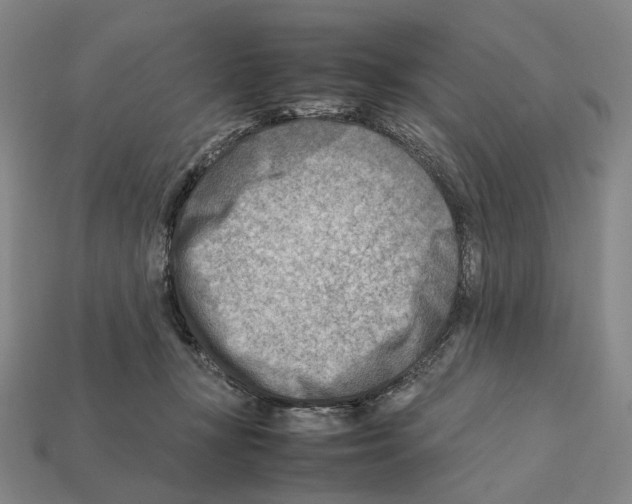 X0000112410367200909251500