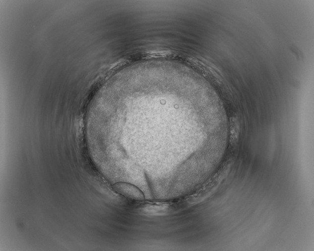 X0000112410369200909251500