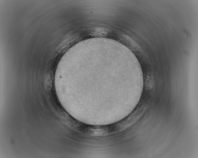 X0000112410370200909251500
