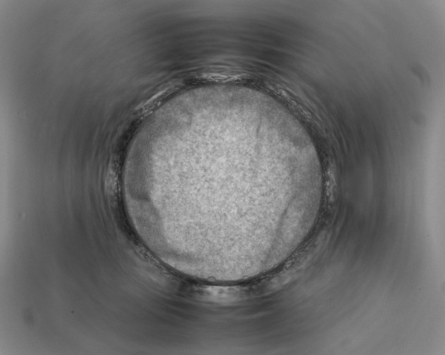 X0000112410371200909251500