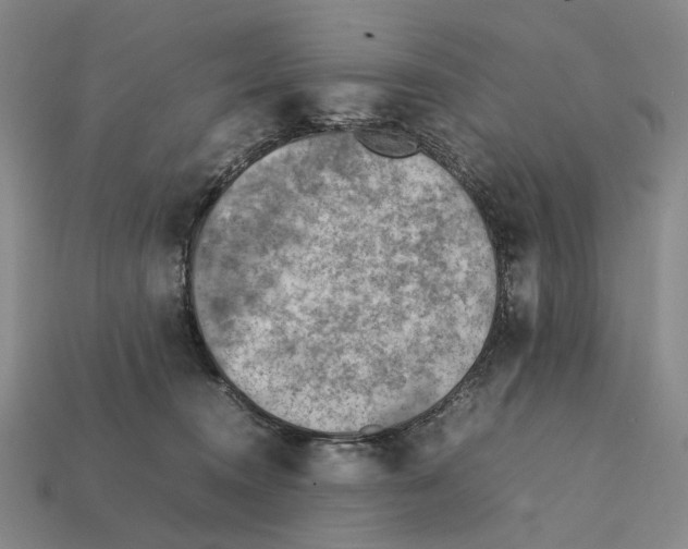X0000112410372200909251500