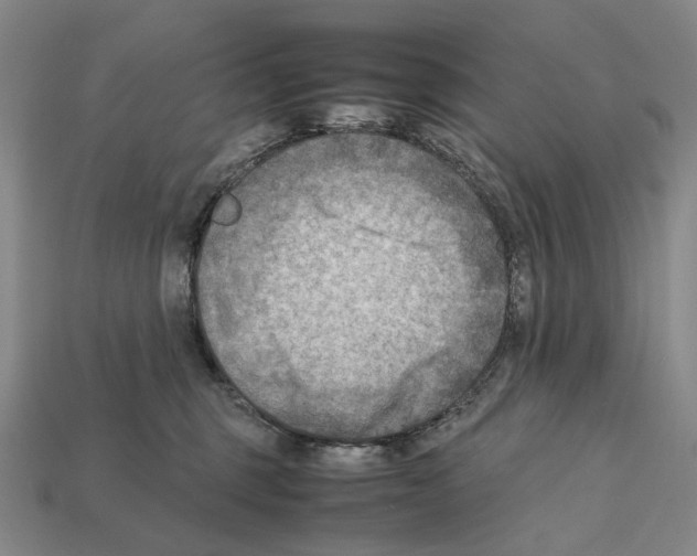 X0000112410375200909251500