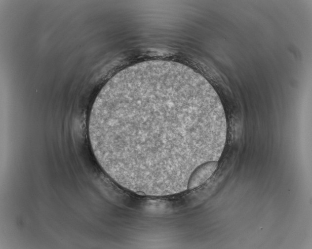 X0000112410376200909251500