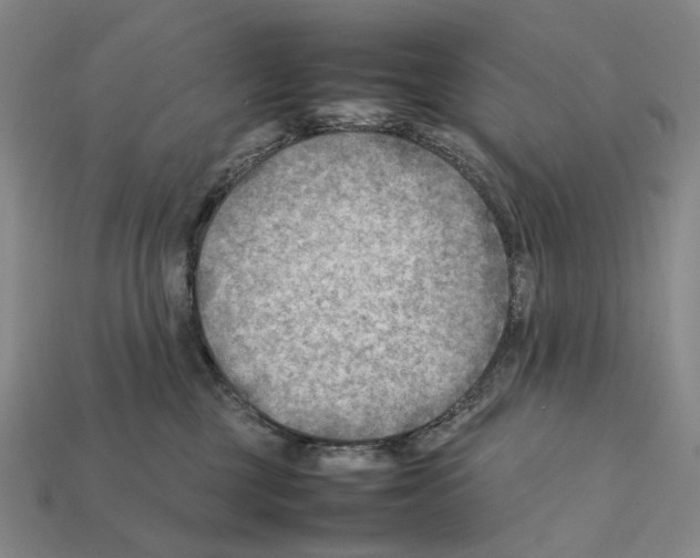 X0000112410377200909251500