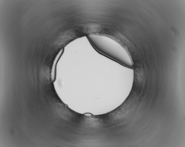 X0000112410380200909251500