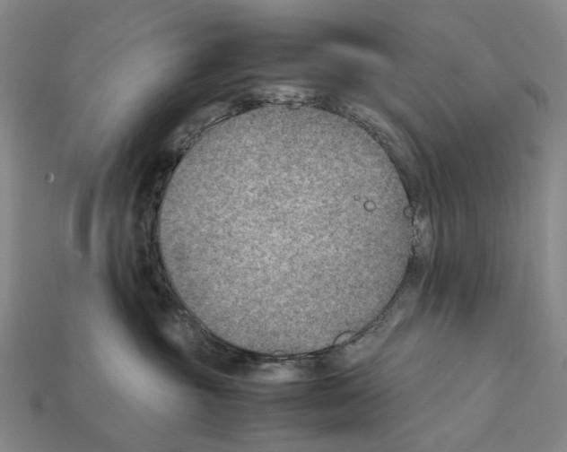 X0000112410381200909251500