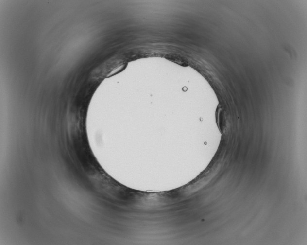 X0000112410382200909251500