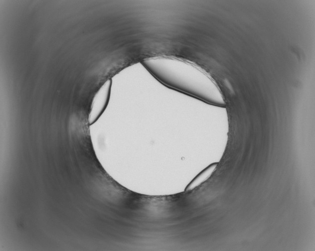 X0000112410384200909251500