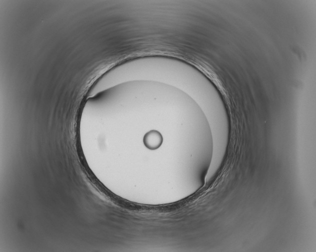 X0000112410389200909251500