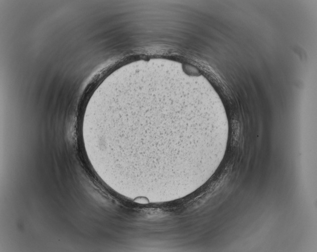 X0000112410392200909251500