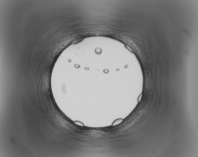 X0000112410393200909251500
