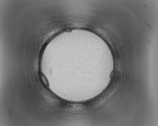 X0000112410395200909251500