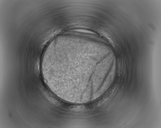 X0000112410398200909251500