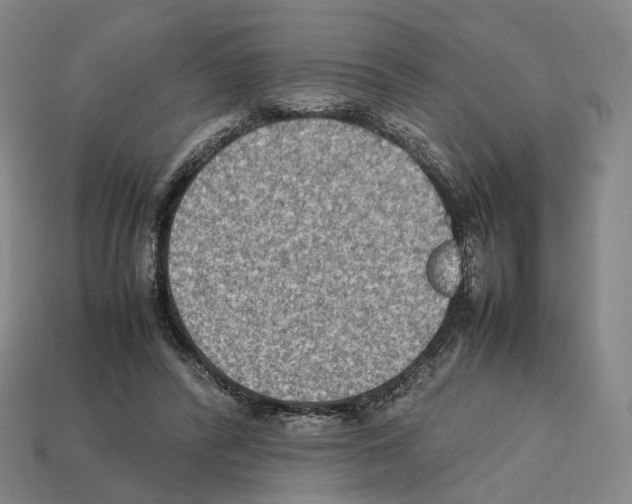 X0000112410400200909251500