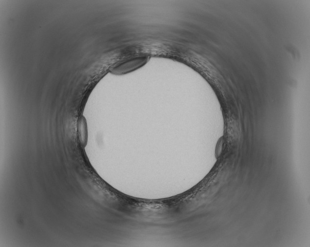 X0000112410401200909251500