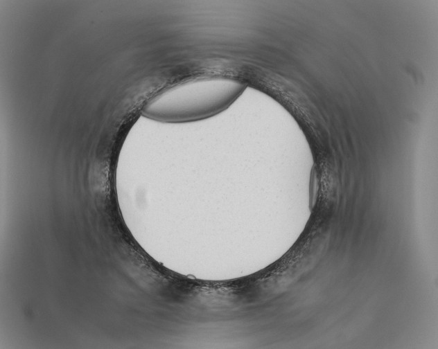 X0000112410403200909251500
