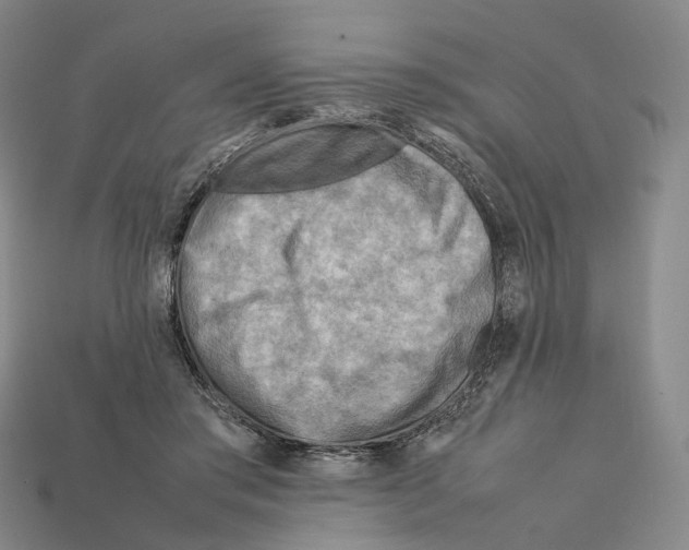 X0000112410405200909251500