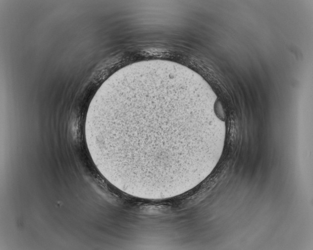 X0000112410408200909251500