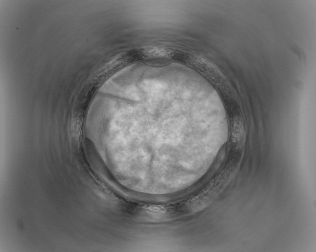 X0000112410409200909251500