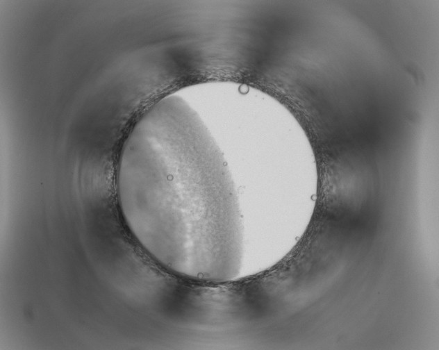 X0000112410411200909251500
