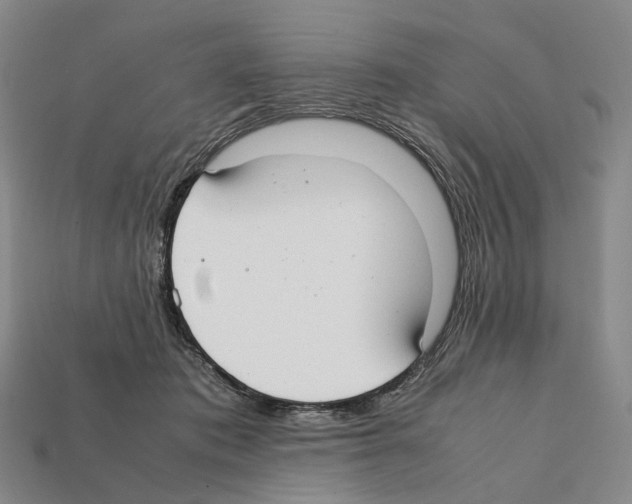 X0000112410413200909251459
