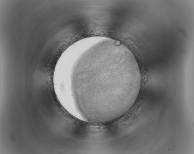 X0000112410415200909251459