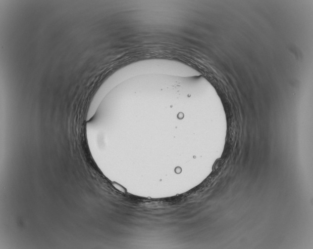 X0000112410417200909251459