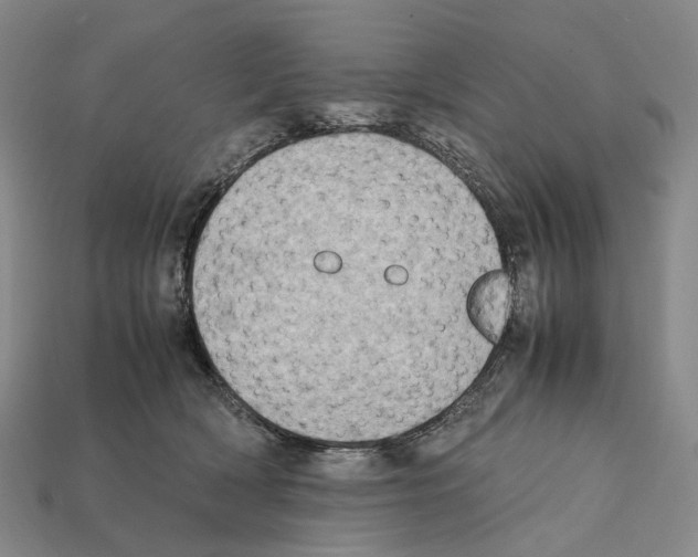 X0000112410418200909251459