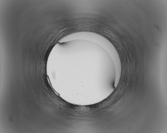 X0000112410421200909251459