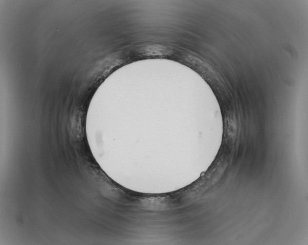 X0000112410422200909251459