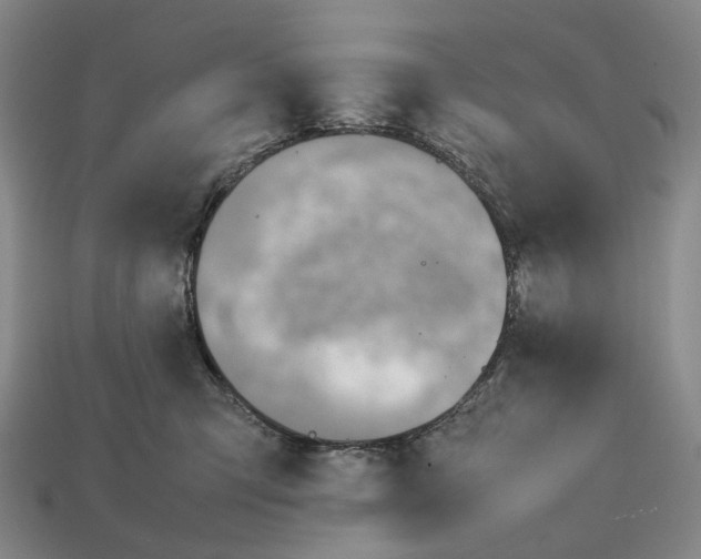 X0000112410423200909251459