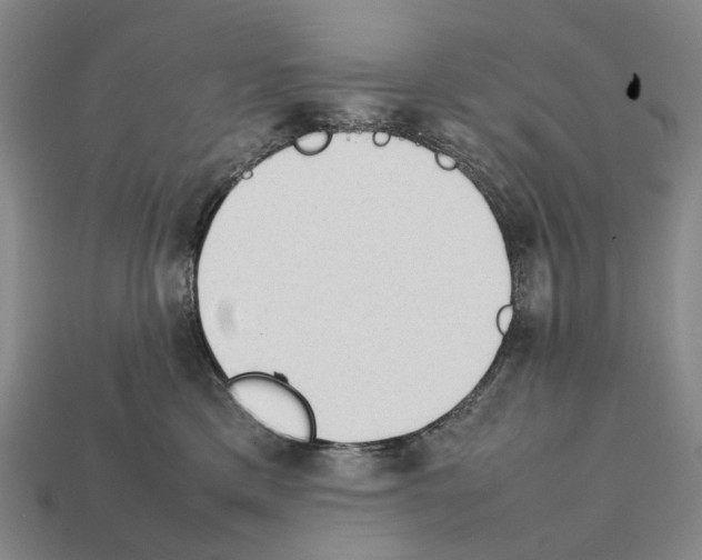 X0000112410425200909251459