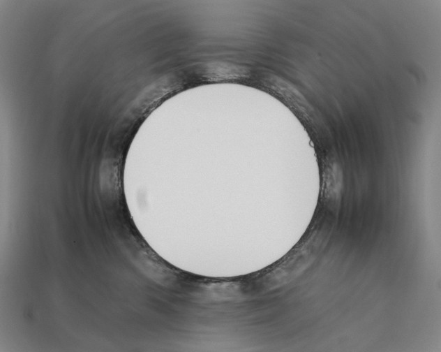 X0000112410426200909251459